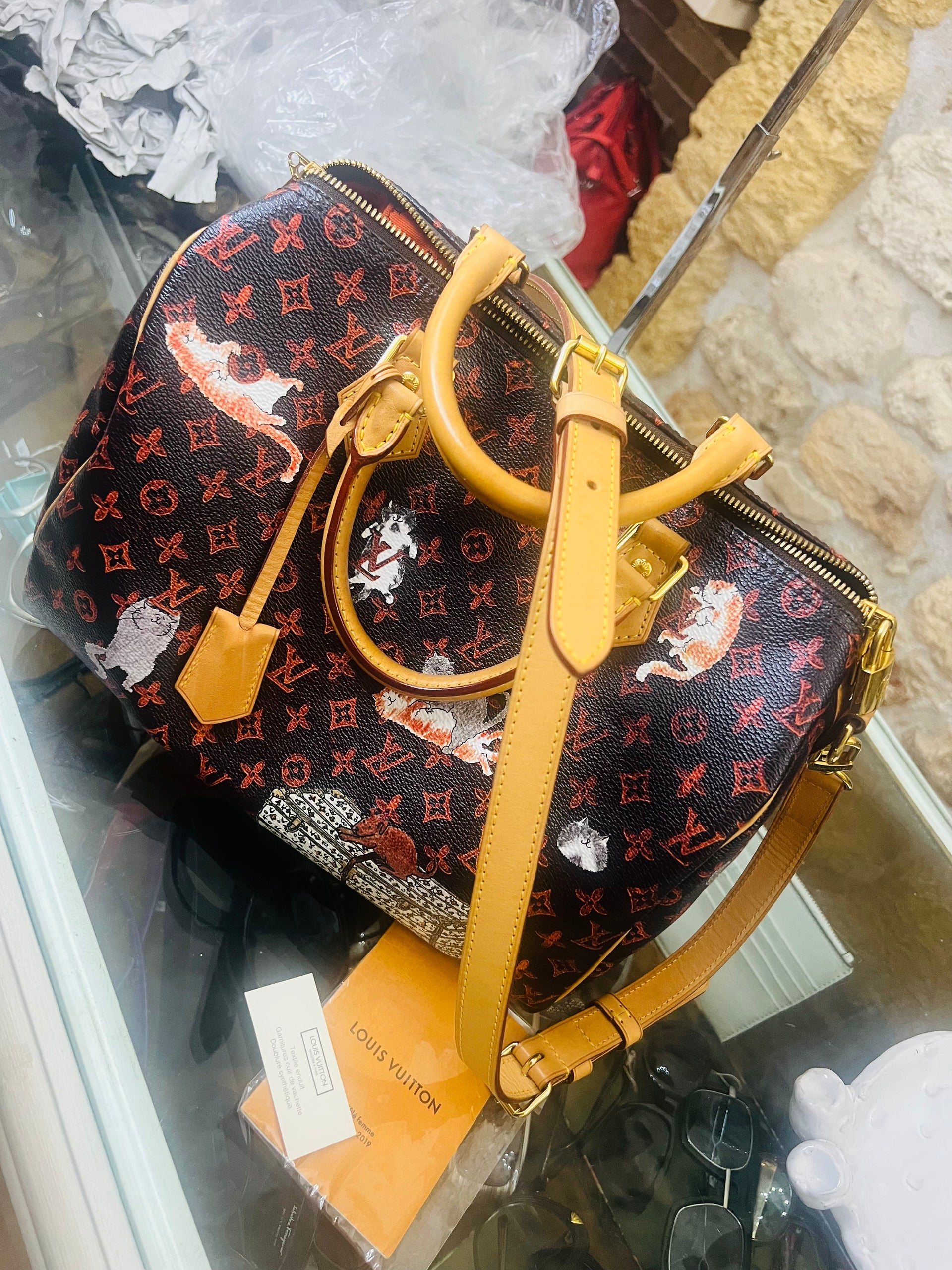 Louis Vuitton speedy limited edition
